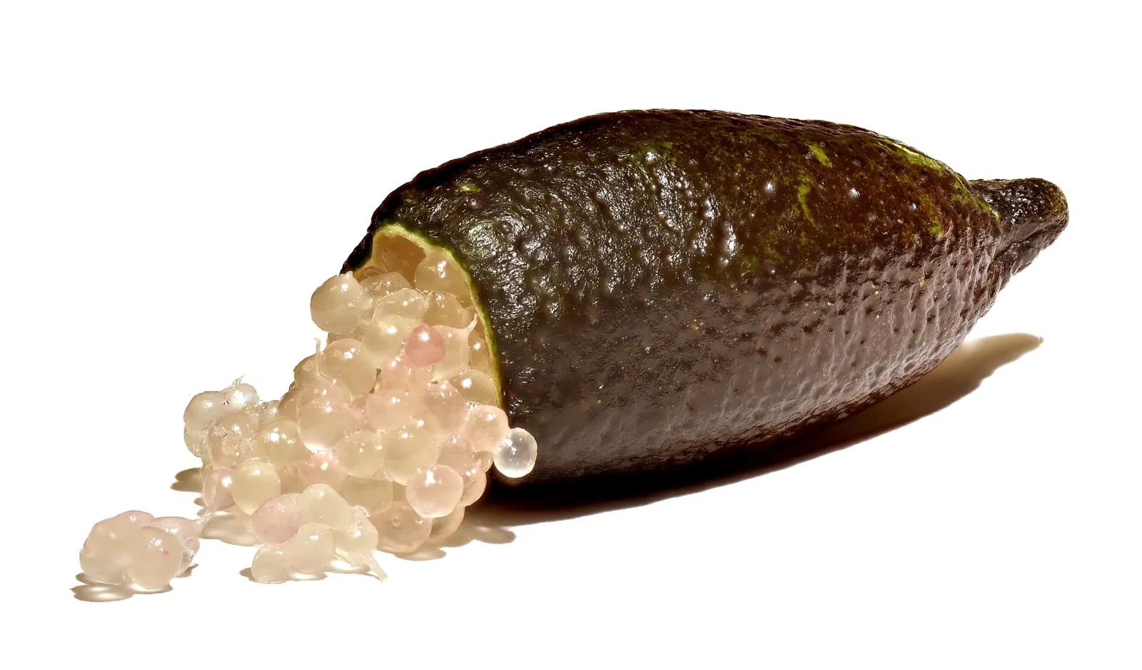 Australian Finger Lime fruit