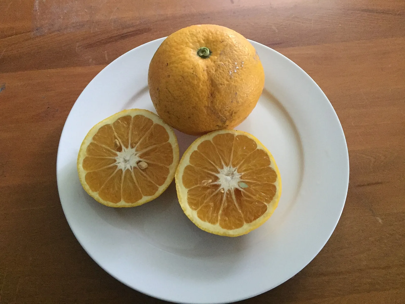 New Zealand fruit