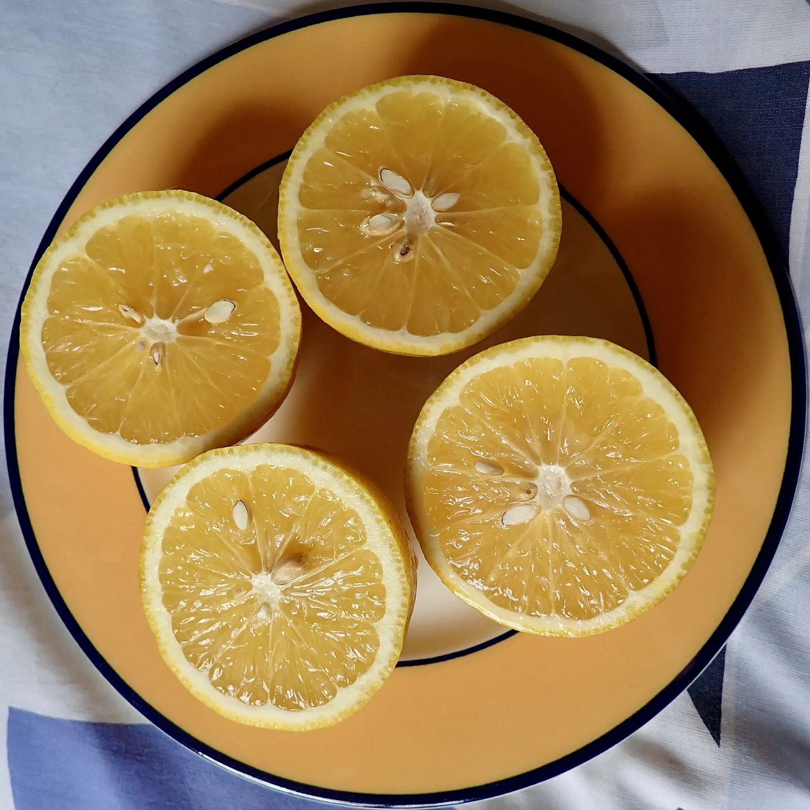 Lemonade, photo 2