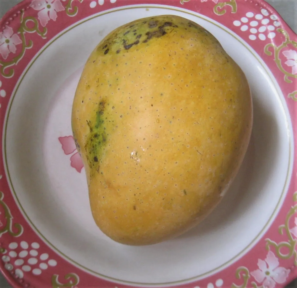 Banganapalli fruit