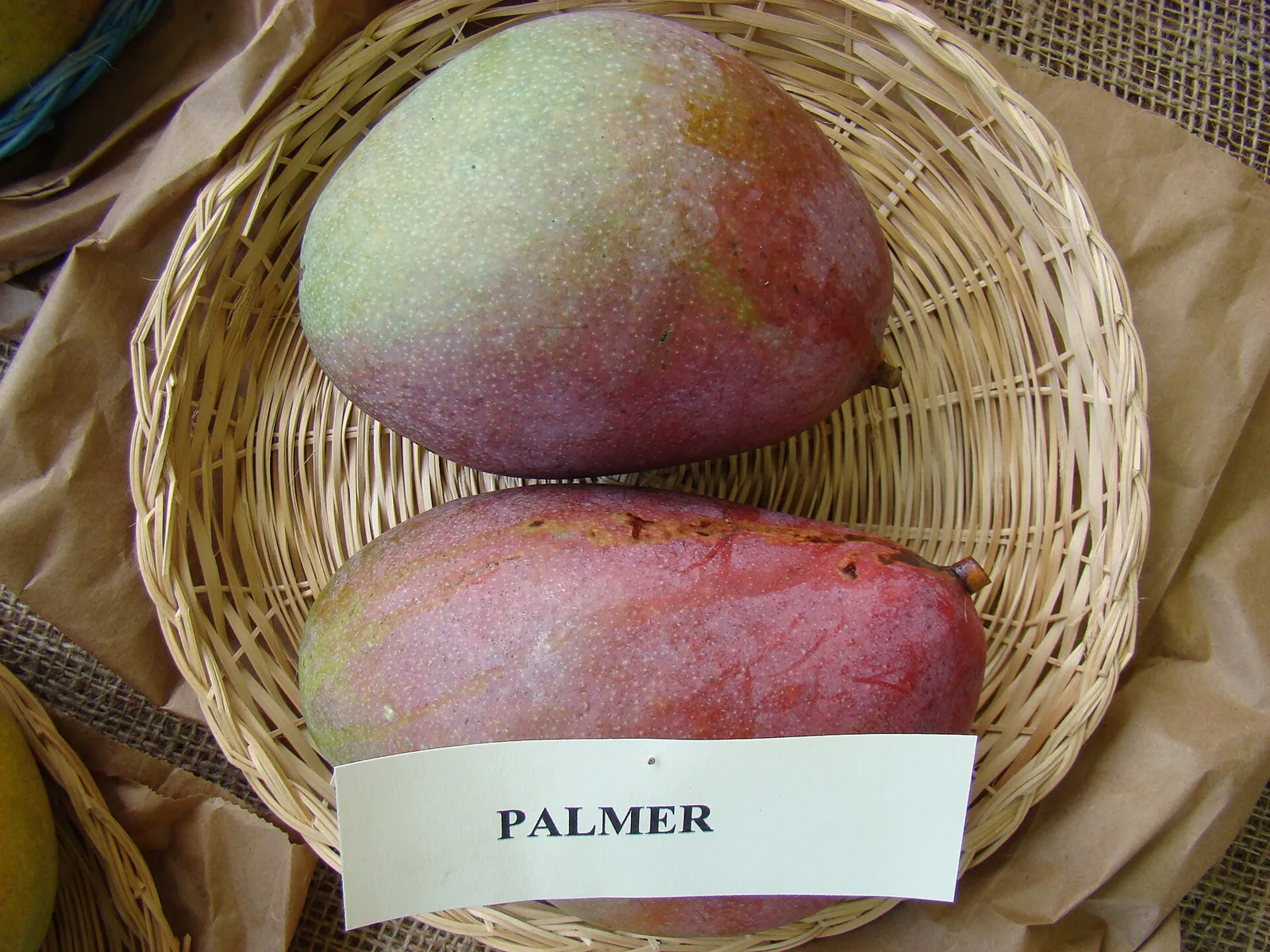 Palmer fruit