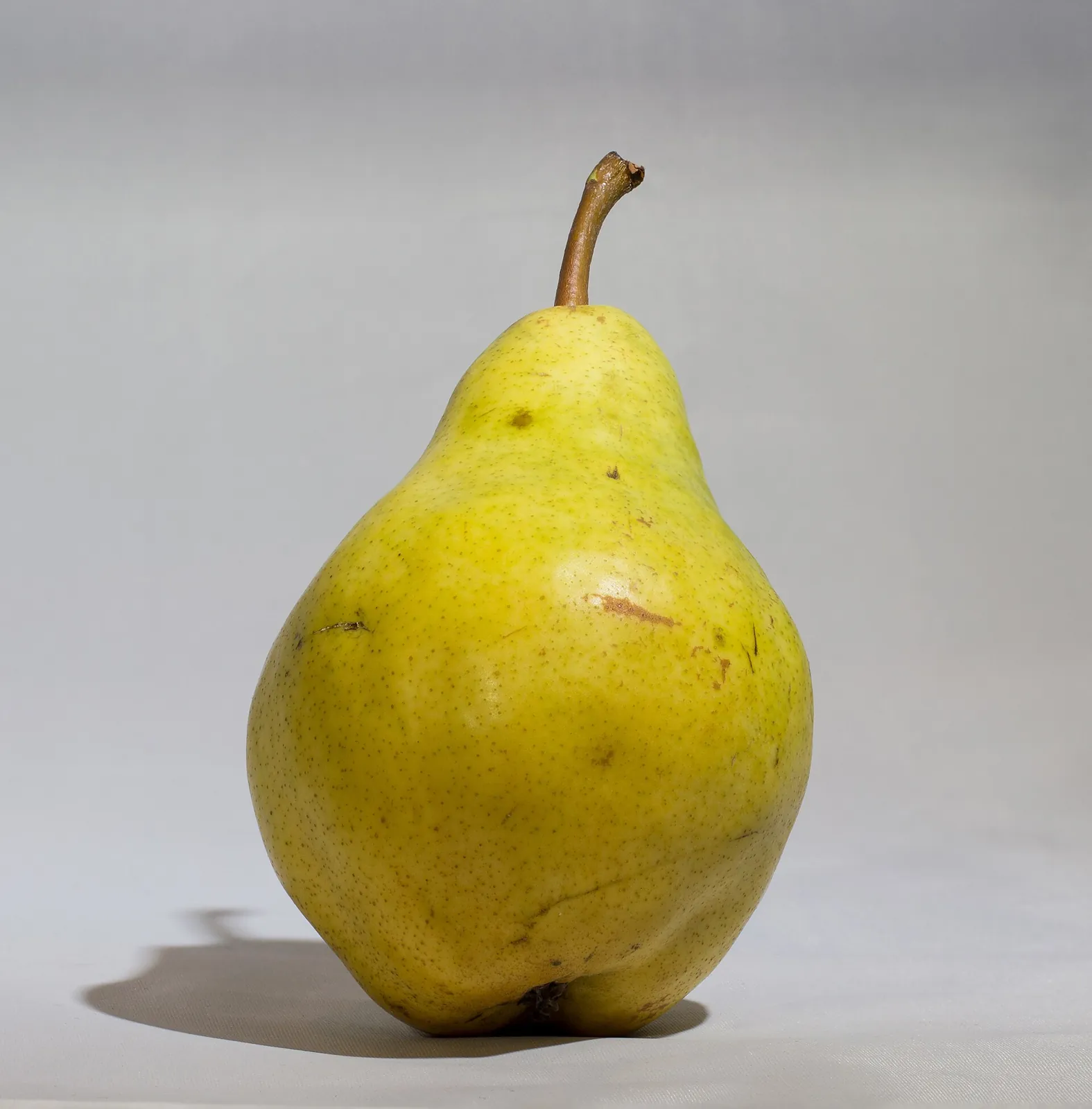 Bartlett fruit