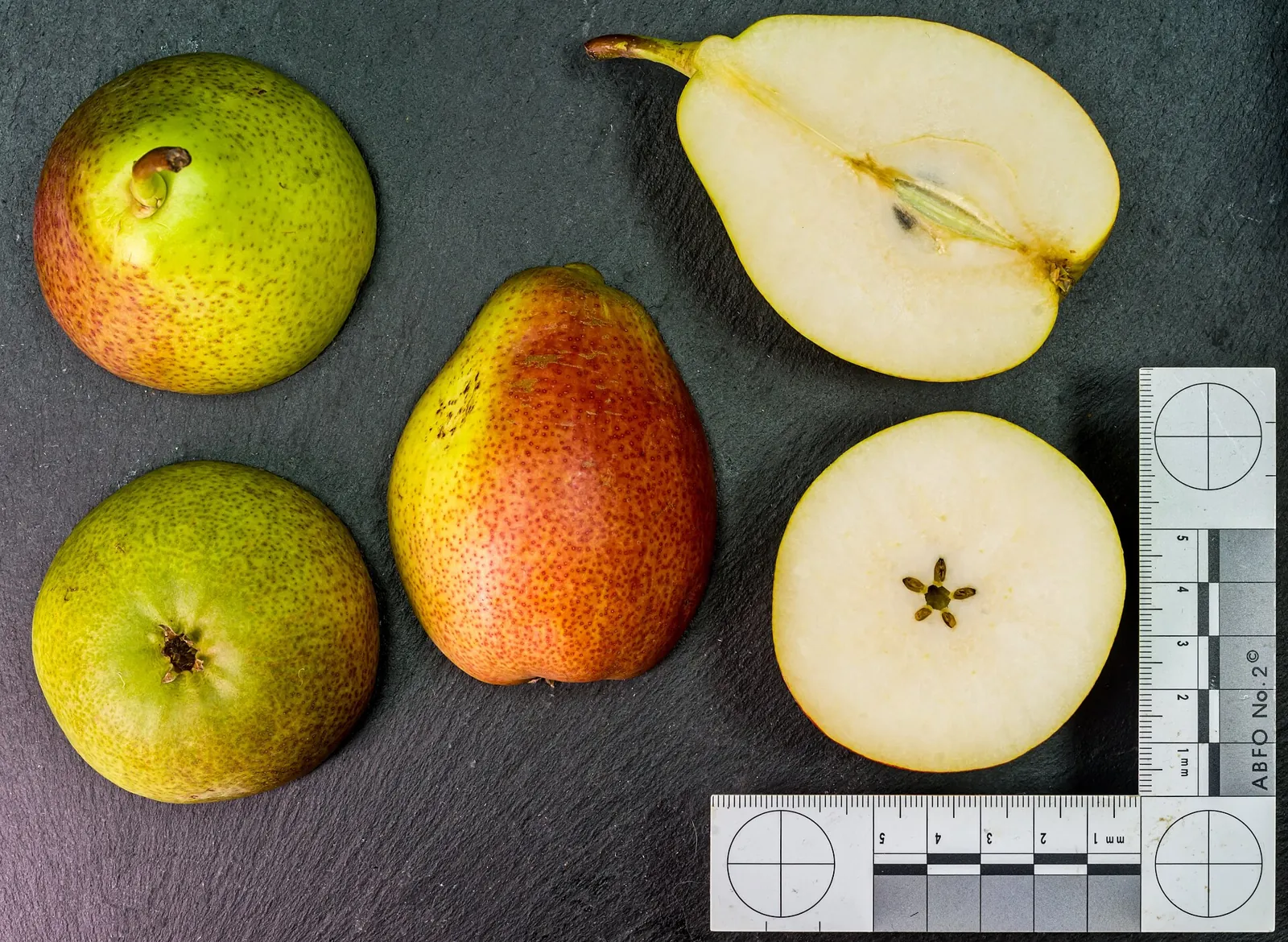 Cheeky fruit