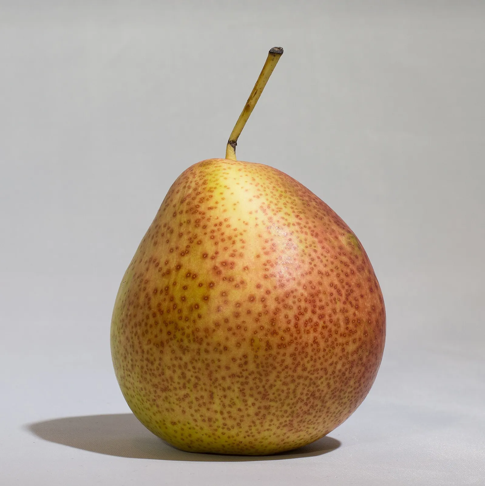 Forelle fruit