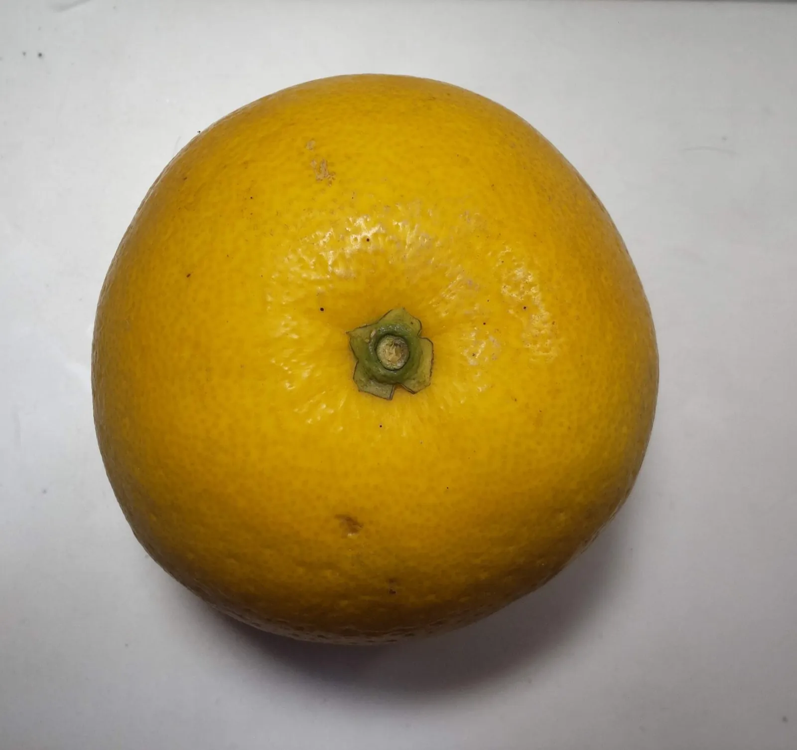 Anseikan fruit