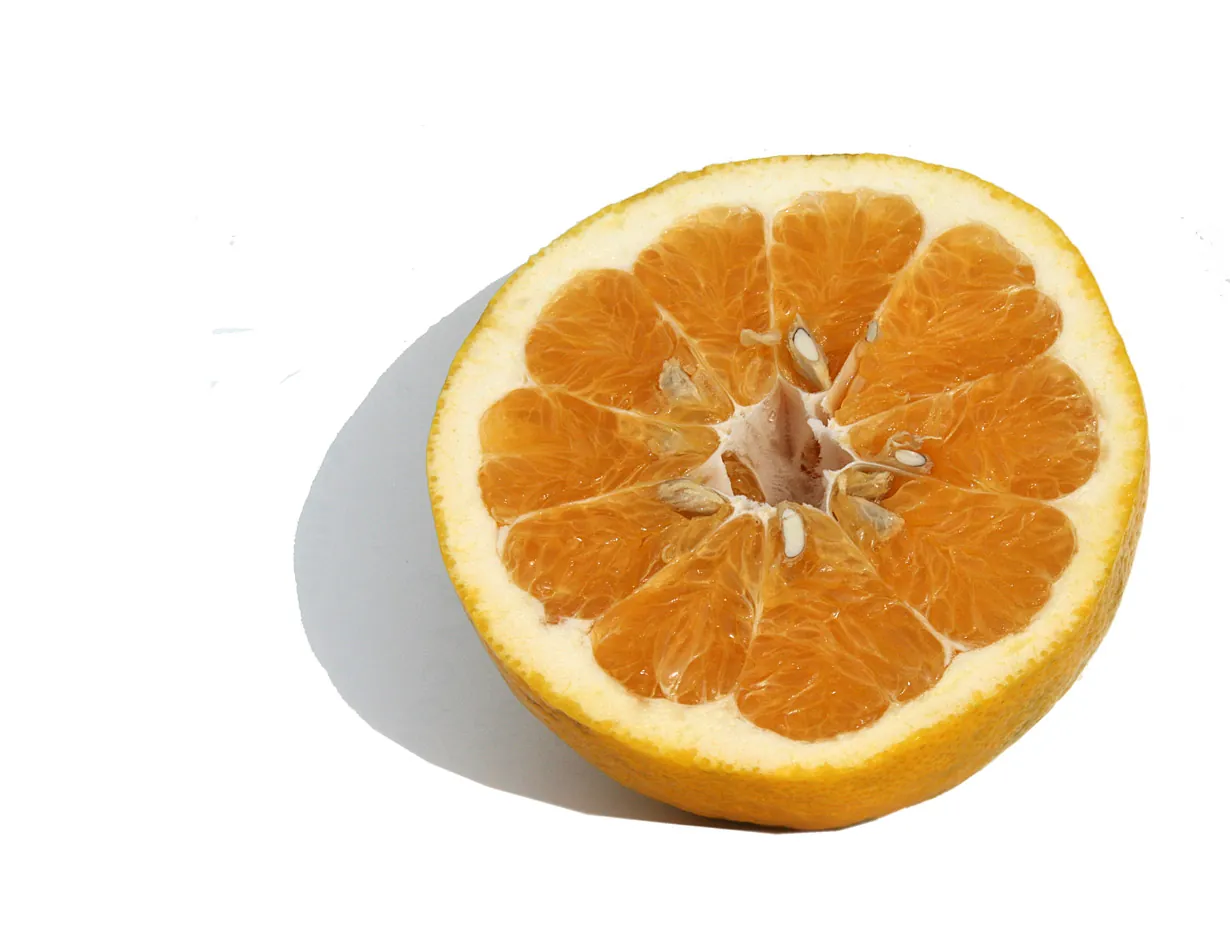 Cocktail fruit