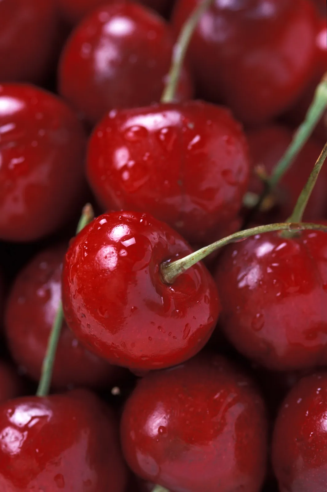Bing fruit