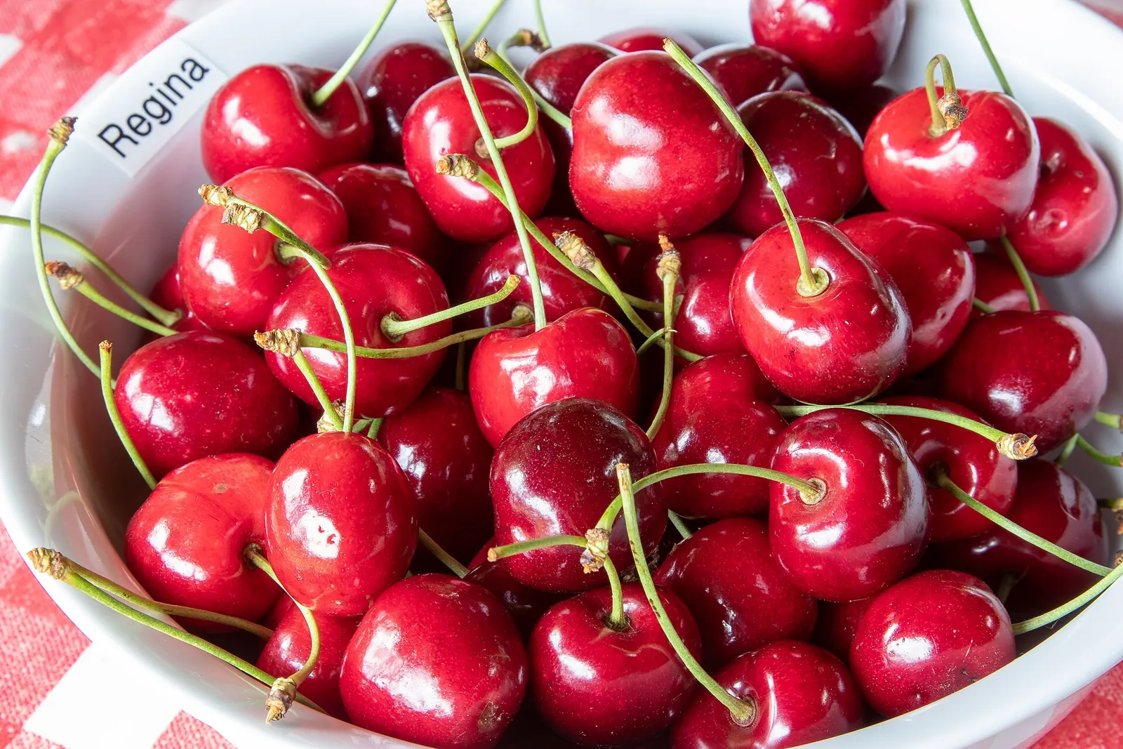 Regina fruit