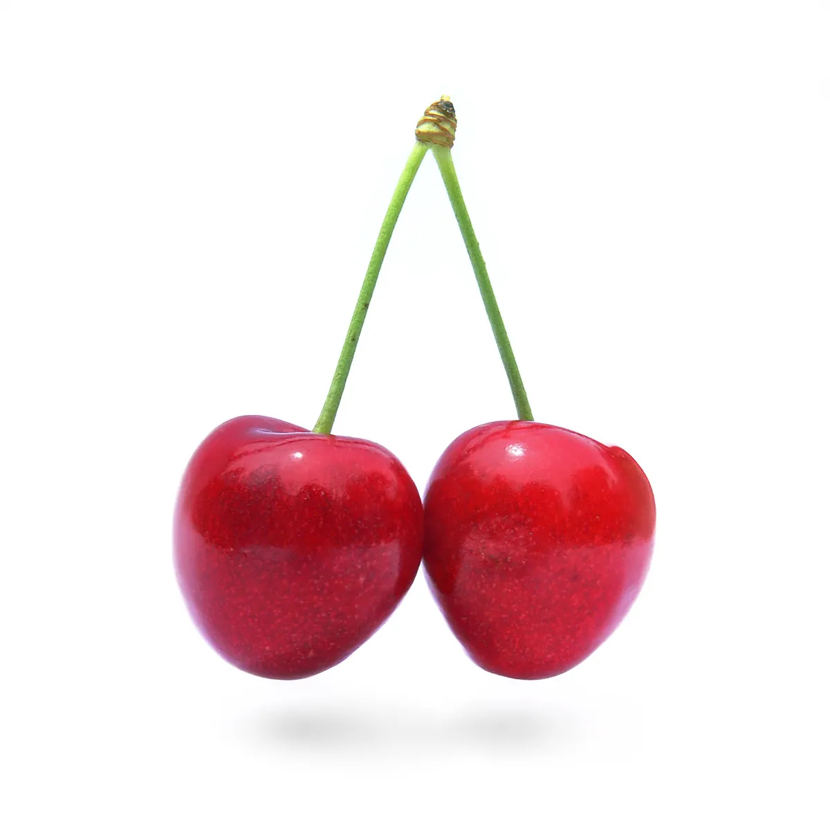 Stella fruit