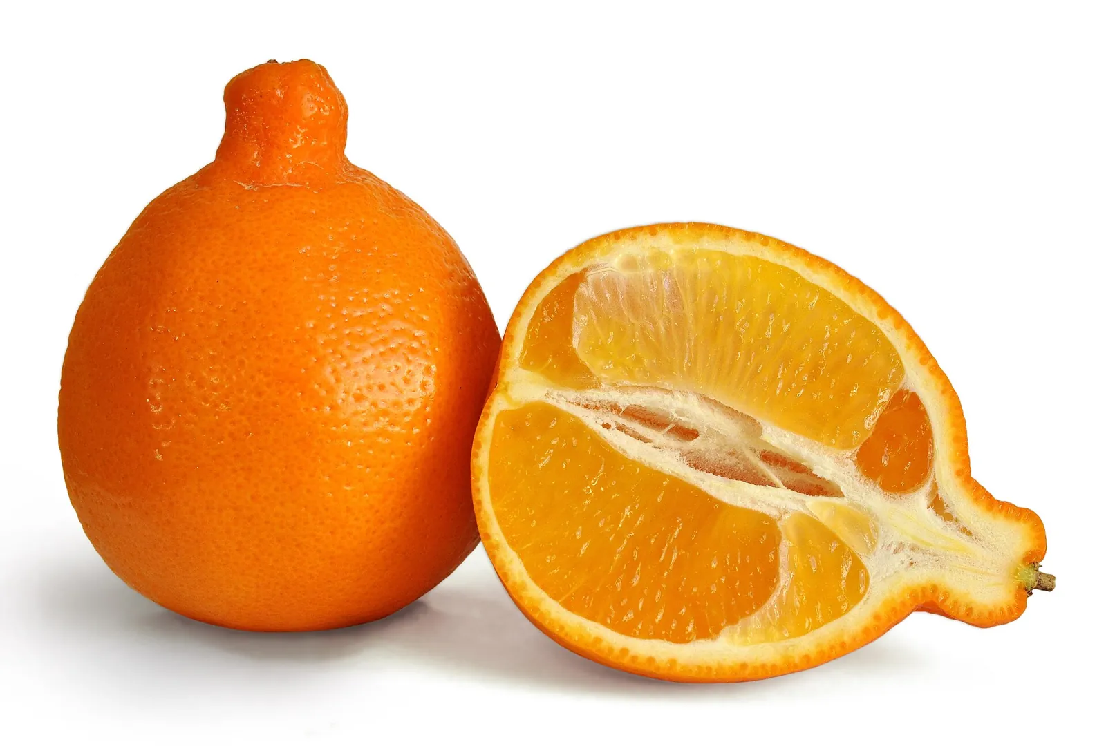 Minneola fruit