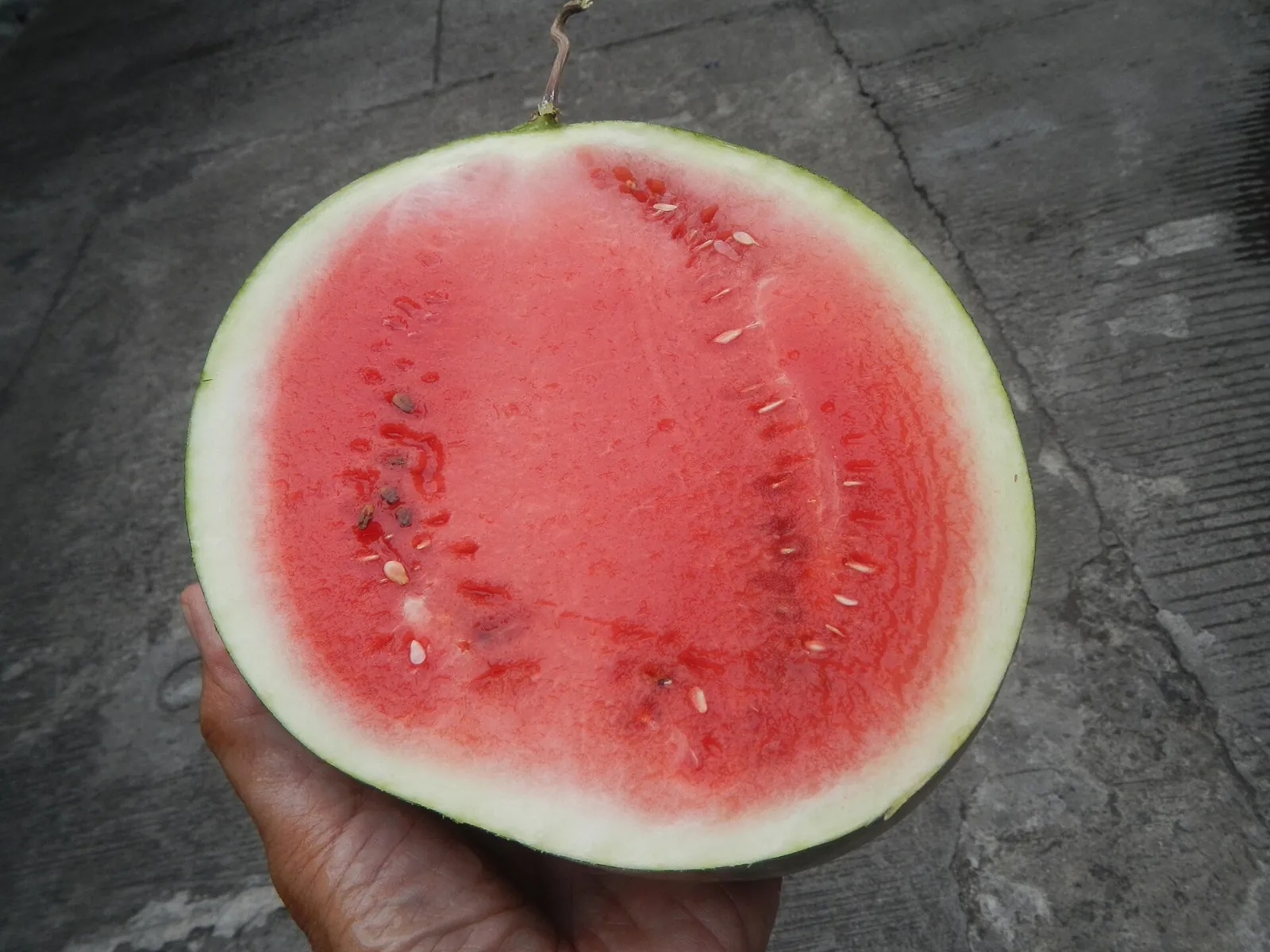 Sugar Baby fruit