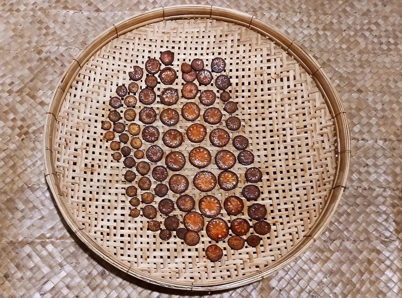 Bael, photo 2