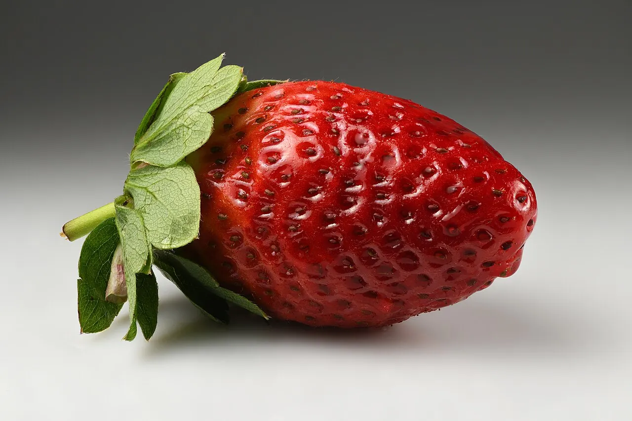 Strawberry, photo 1