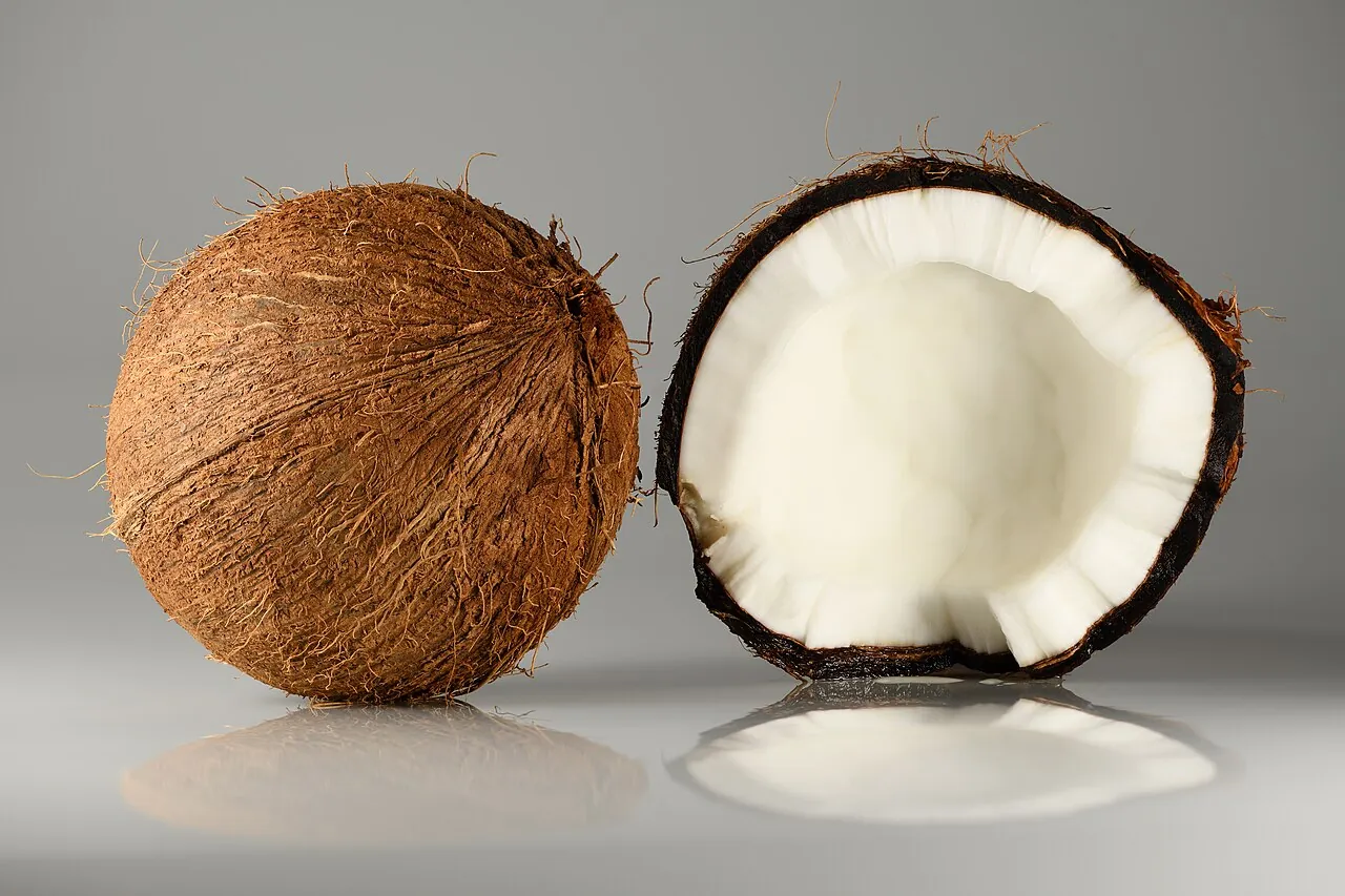 Coconut, photo 1