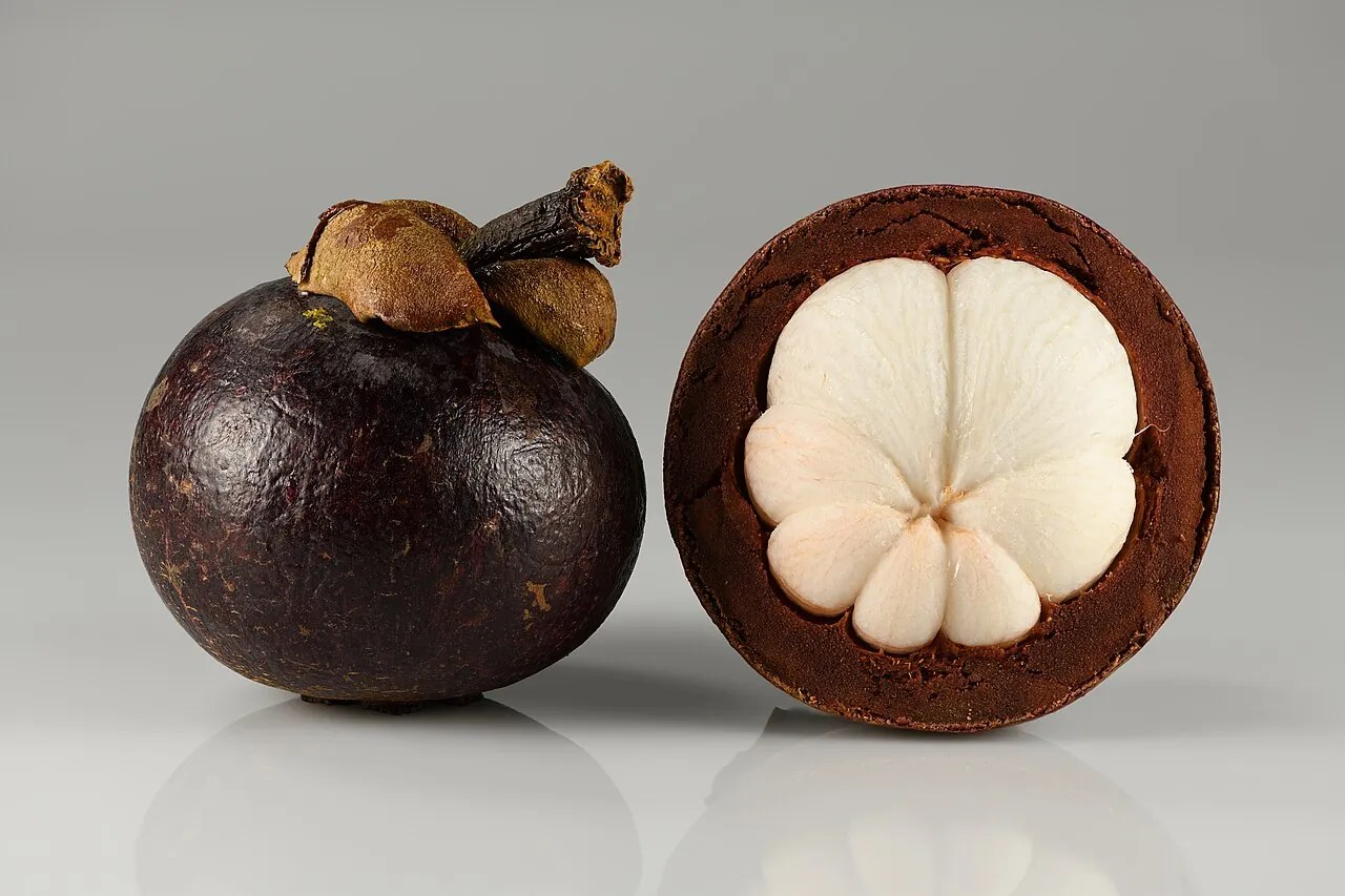 Mangosteen, photo 1