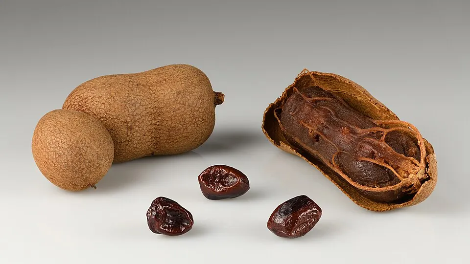 Tamarind, photo 1