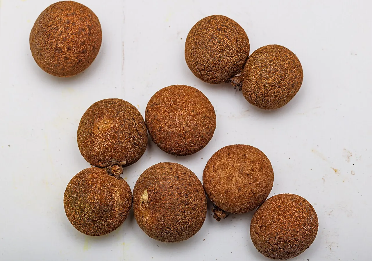 Longan, photo 1
