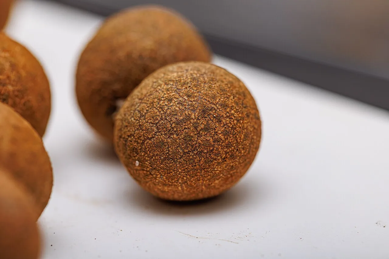 Longan, photo 3