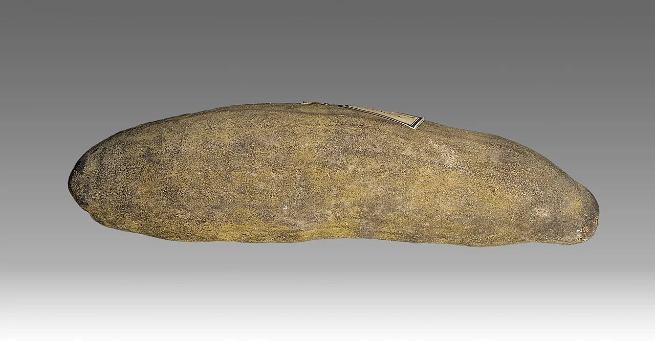 Baobab fruit, photo 4