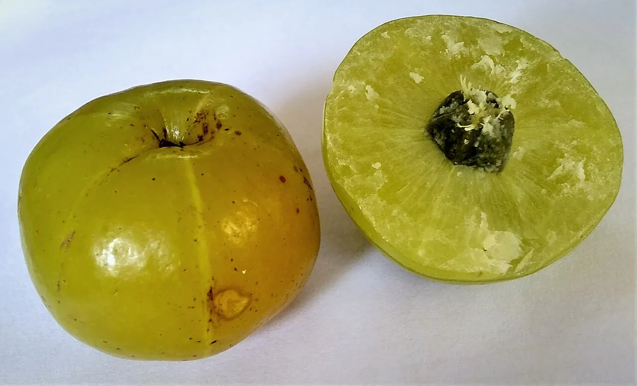 Amla, photo 1