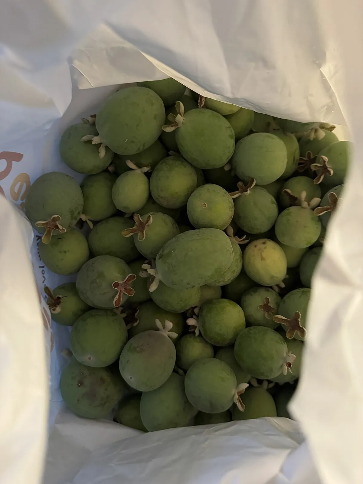Feijoa, photo 2