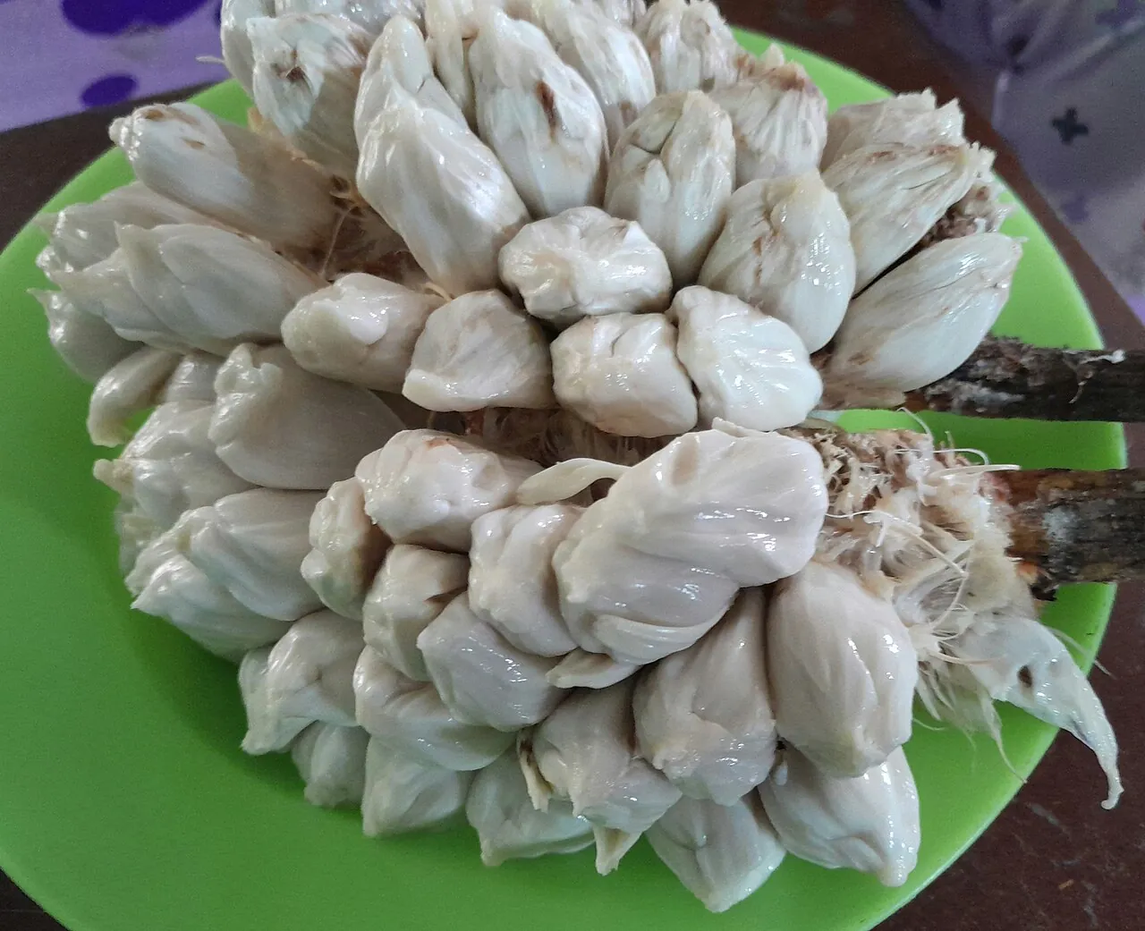 Marang, photo 1