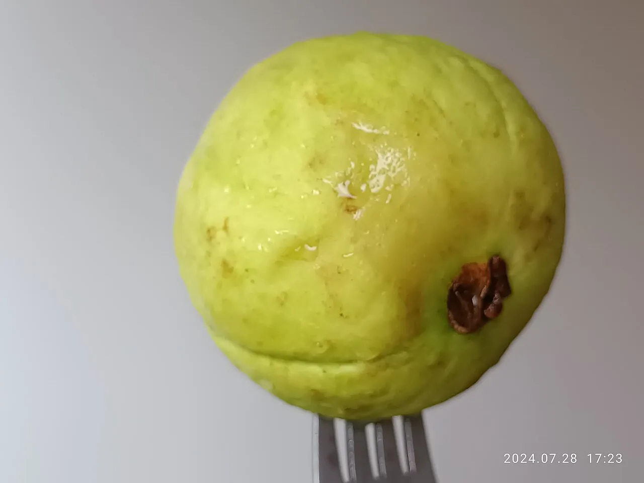 Guava, photo 2