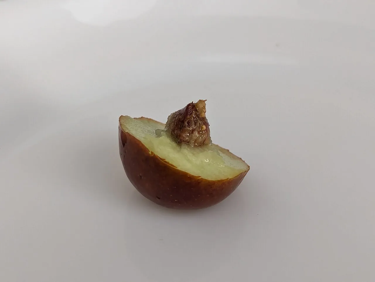 Jujube, photo 1