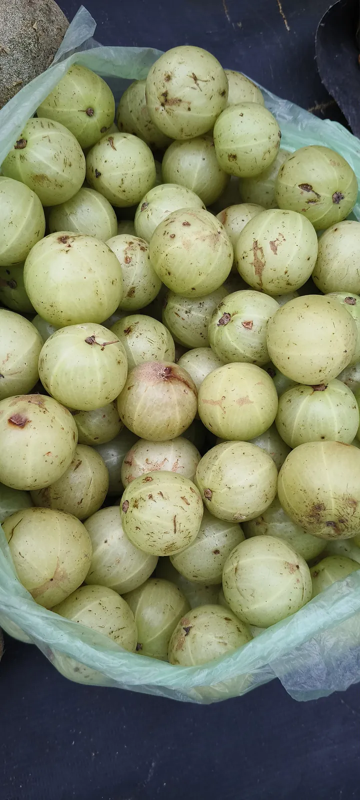 Amla, photo 2
