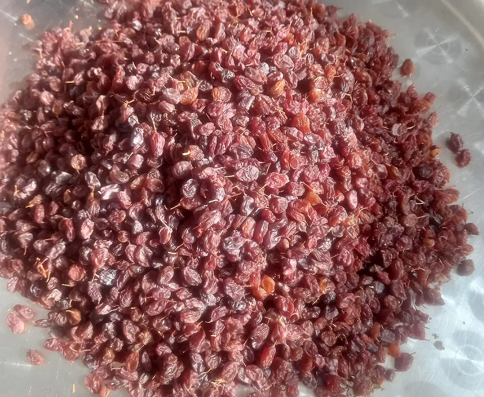 Grape, photo 3