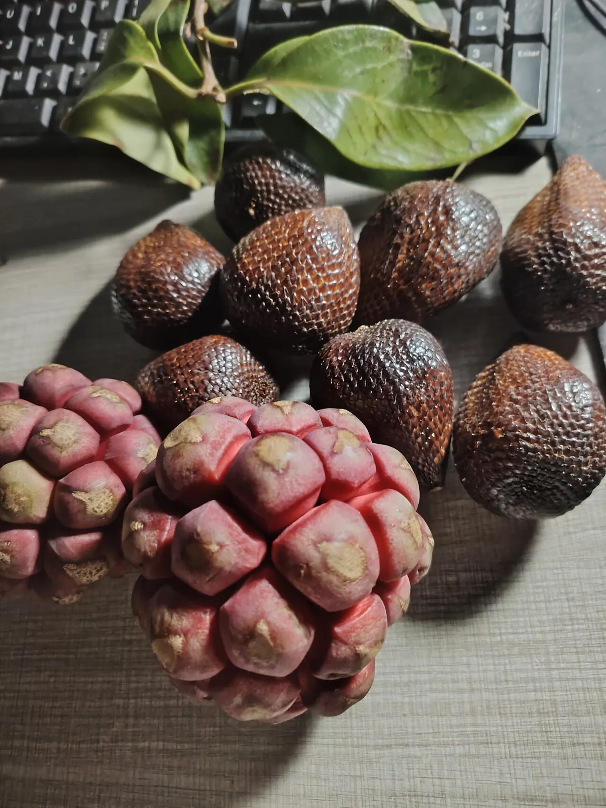 Salak, photo 2
