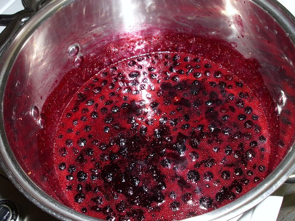 Blueberry, photo 3