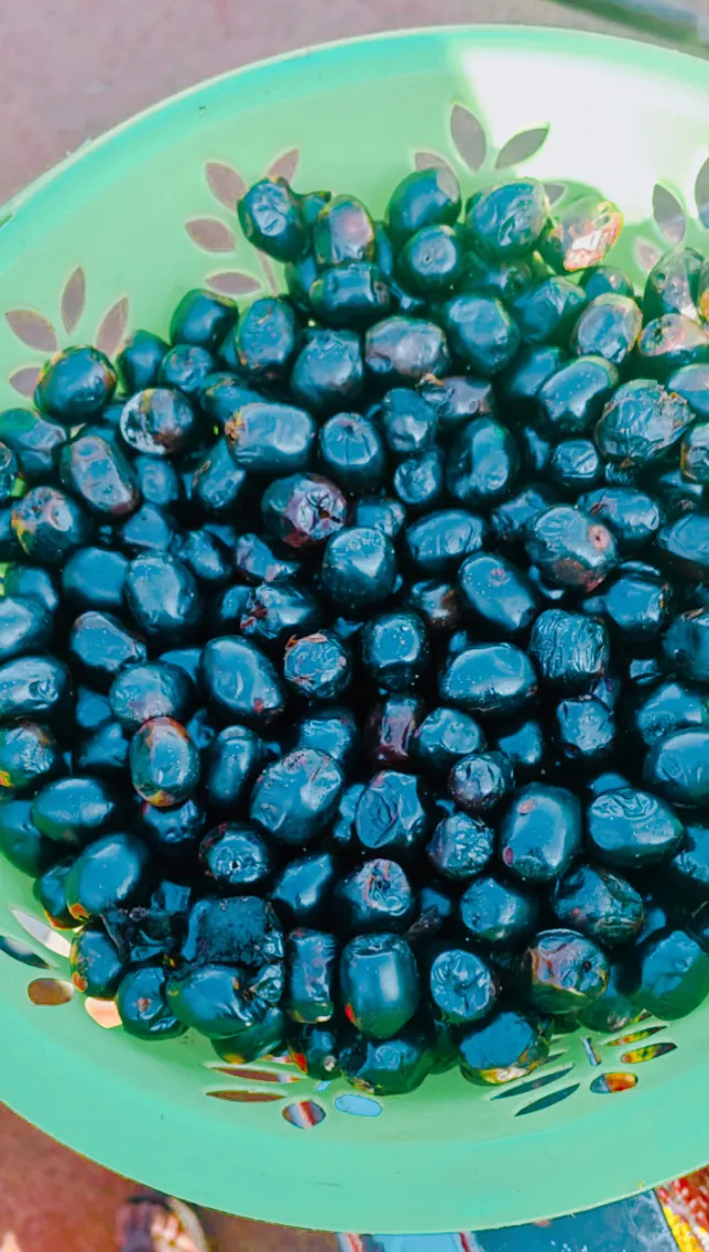 Chocolate berry, photo 1
