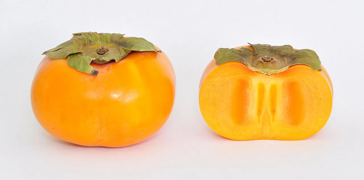 Persimmon, photo 1