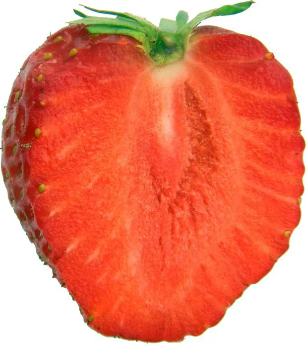 Strawberry, photo 2