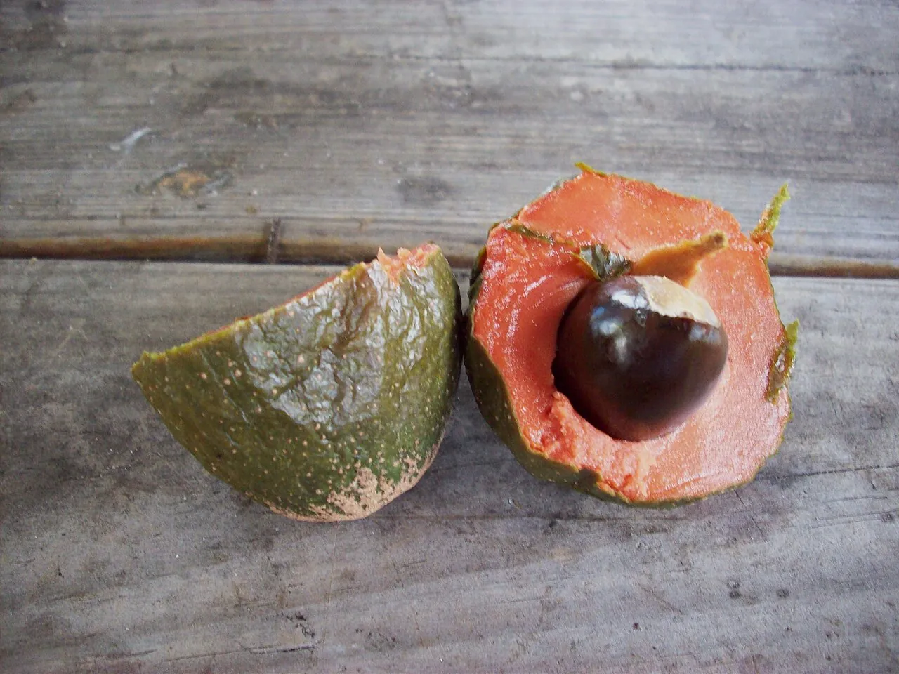 Green sapote, photo 1