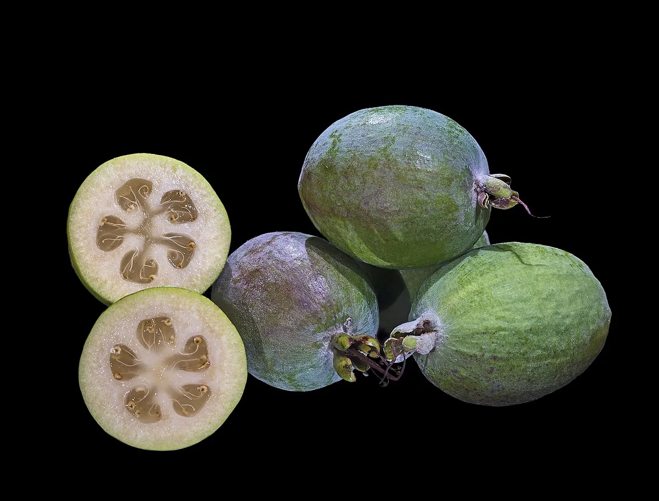 Feijoa, photo 1