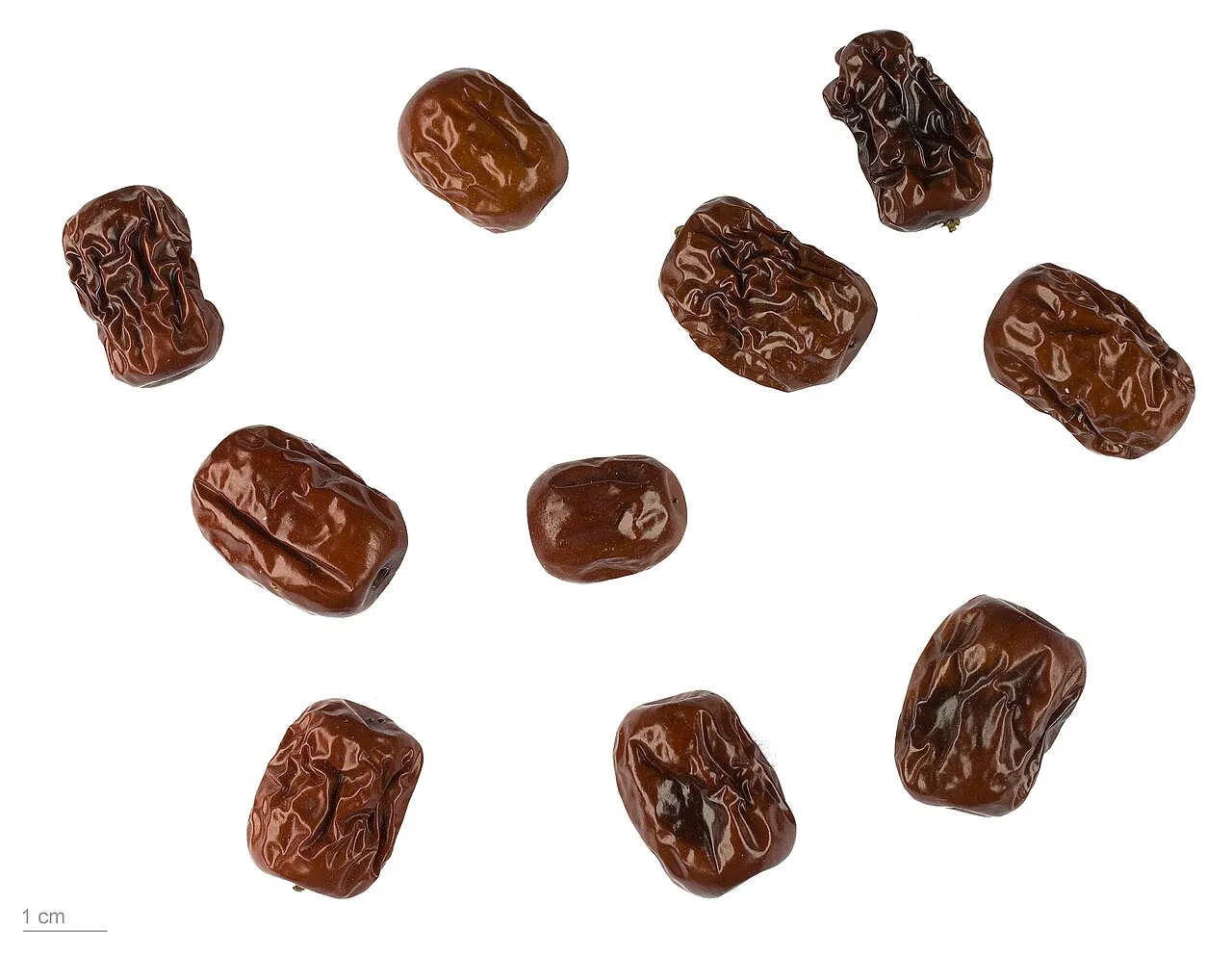 Jujube, photo 2