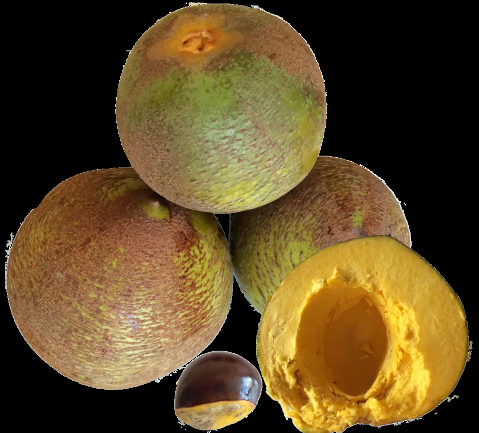 Lucuma, photo 1