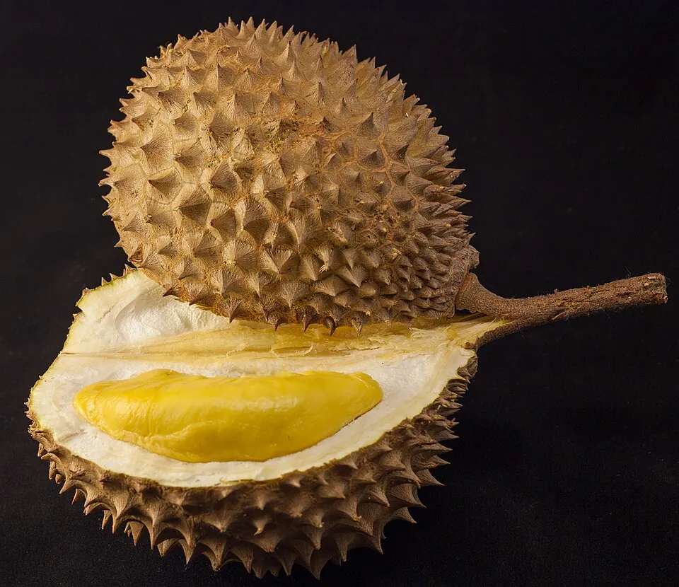 Durian, photo 1