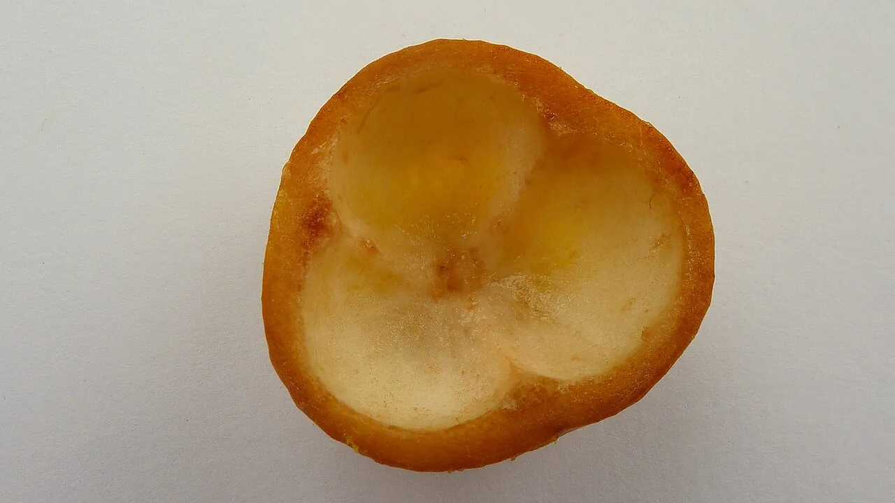 Bacupari, photo 1