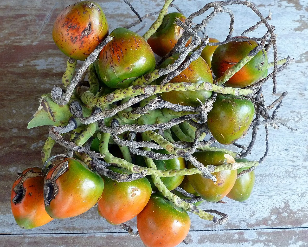 Peach palm fruit, photo 1