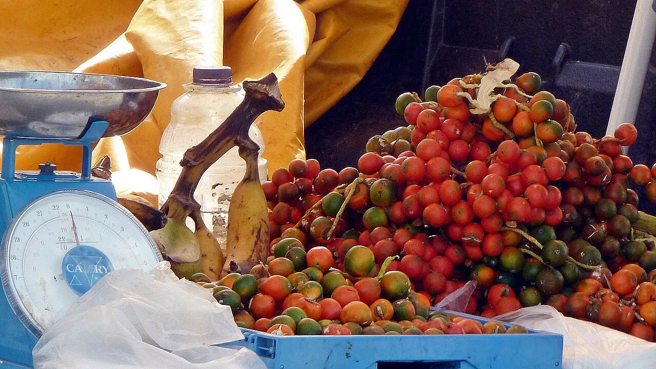 Peach palm fruit, photo 4