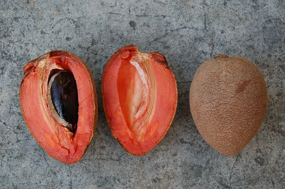 Mamey sapote, photo 1