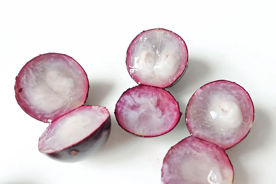 Jabuticaba, photo 1