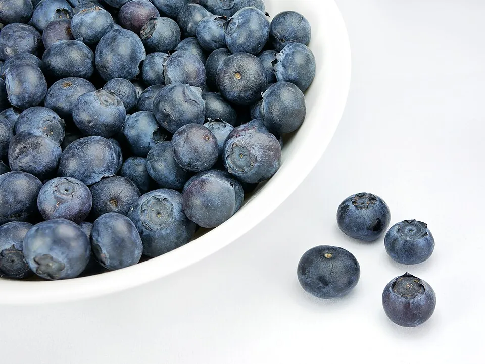 Blueberry, photo 1