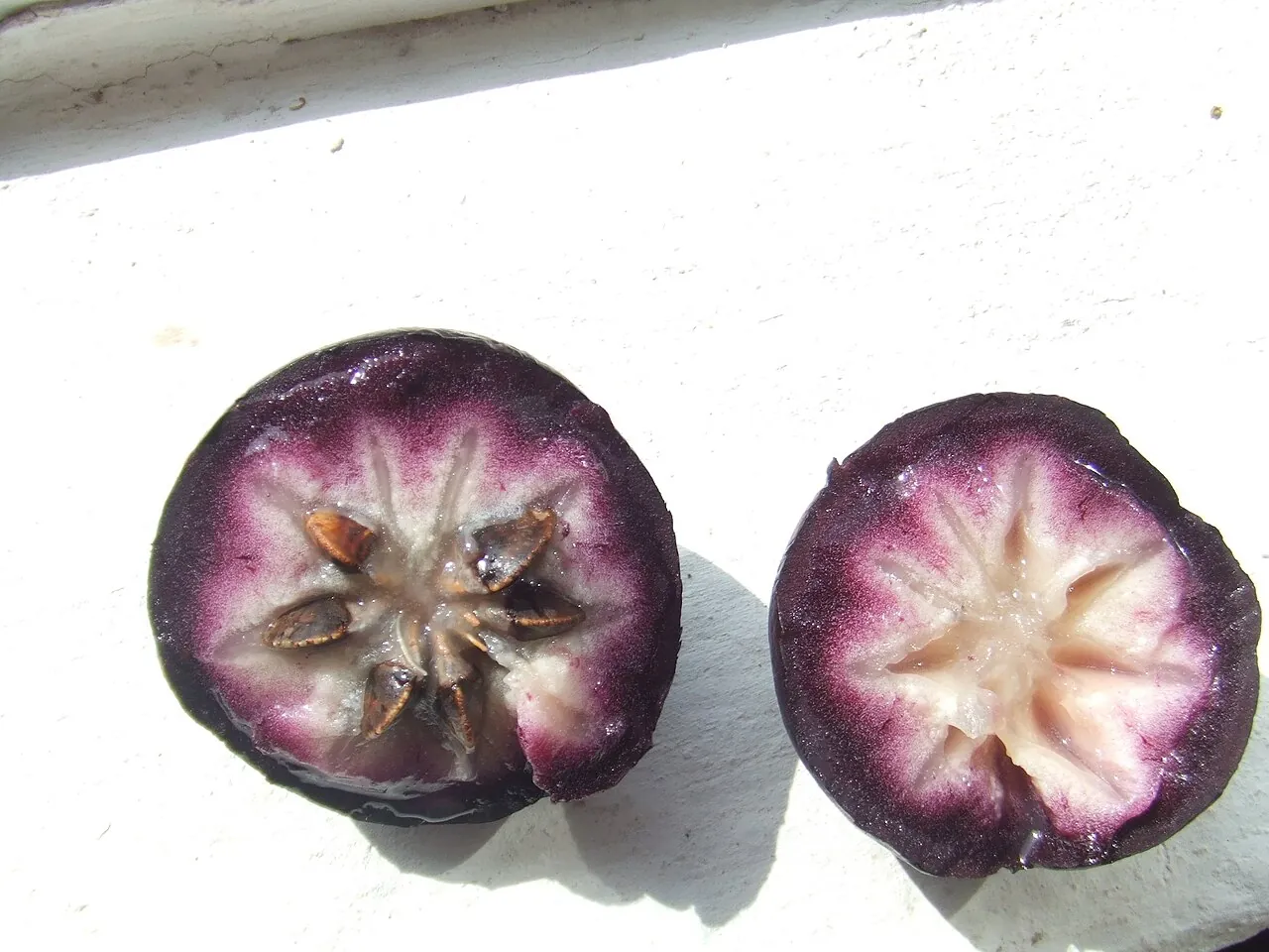 Star apple, photo 3