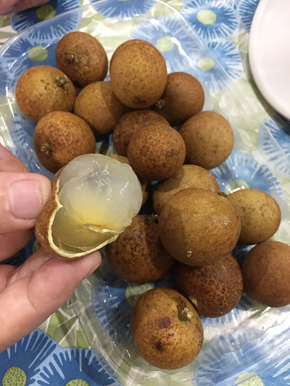 Longan, photo 2