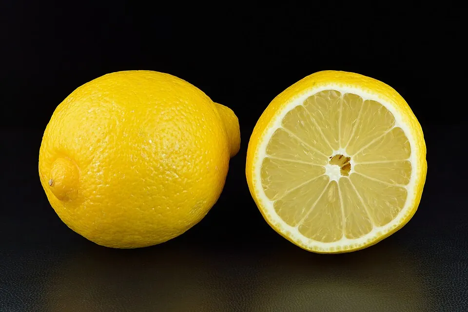 Lemon, photo 1