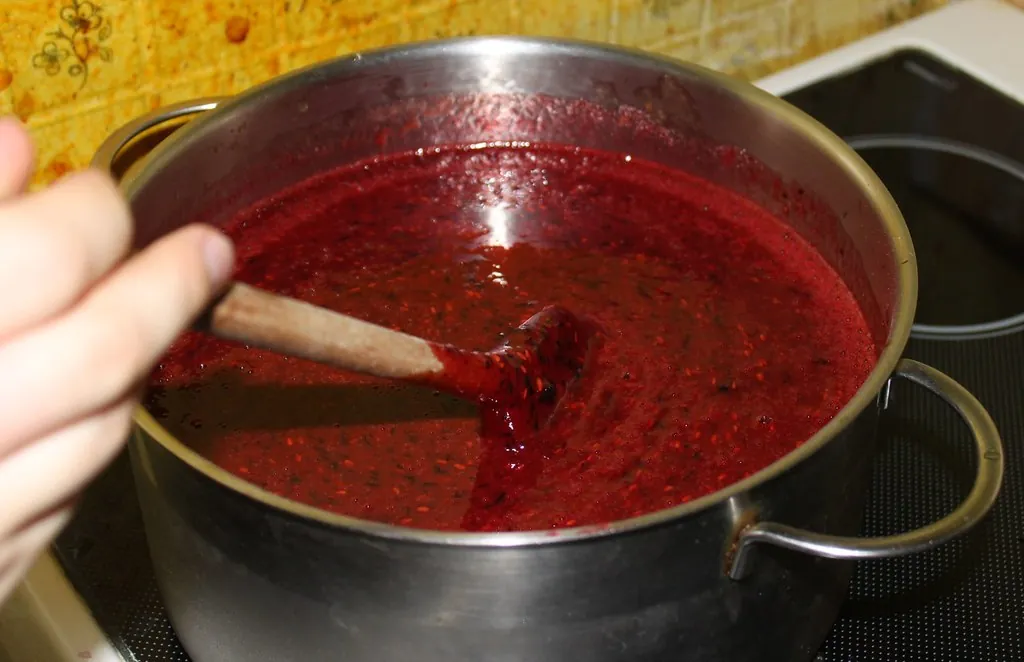 Elderberry, photo 2